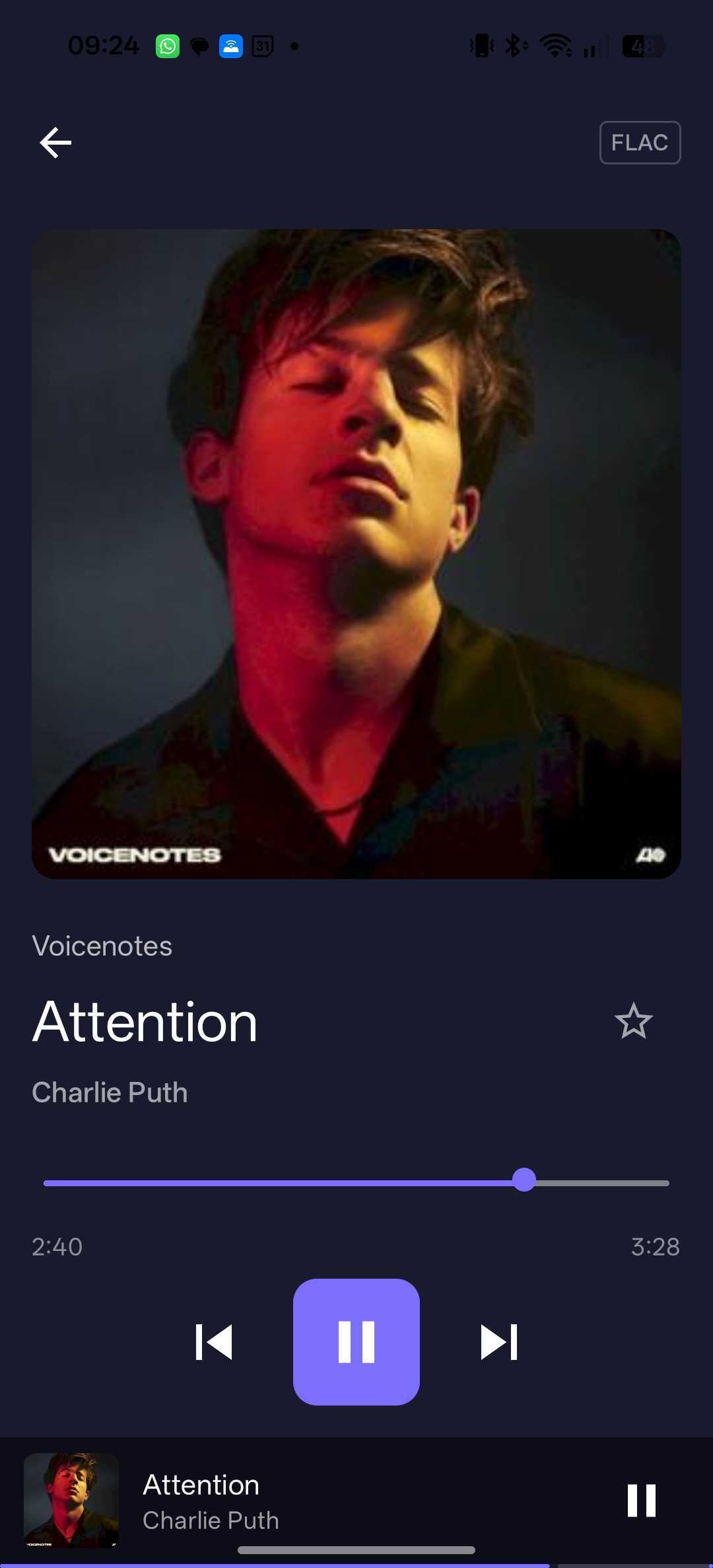 Record Collection - now playing screen